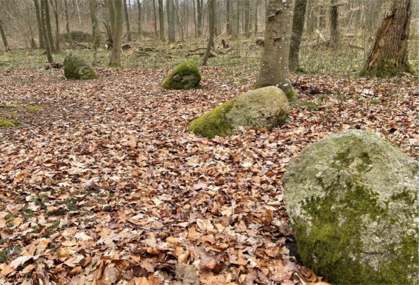 Apostle stones room (1), © Südliche Boddenküste
