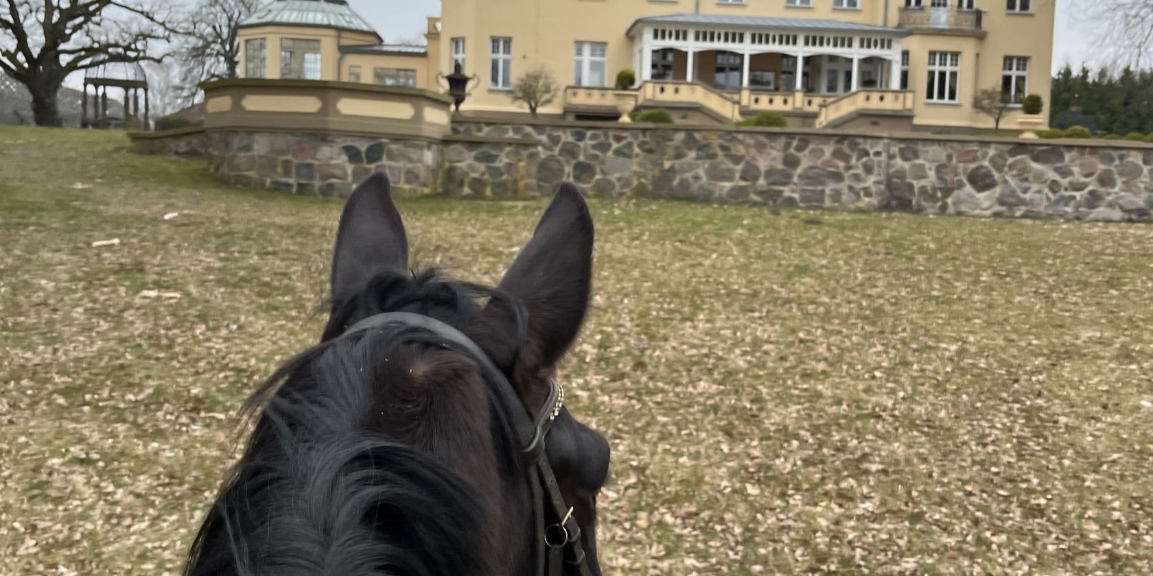 Bernsteinreitertag in Wendorf, &copy; de