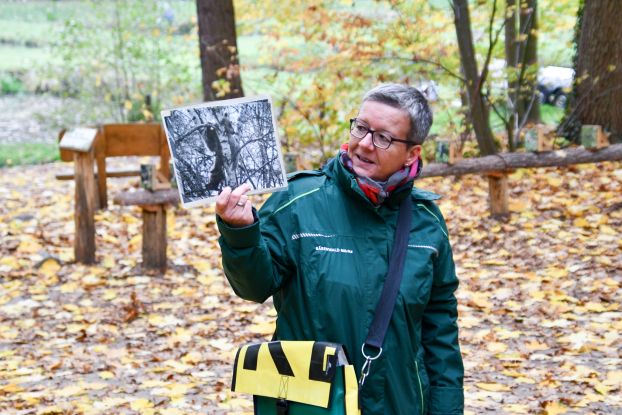 Winter guided tour in the B&Auml;RENWALD M&uuml;ritz, &copy; B&Auml;RENWALD M&uuml;ritz | Manuela Klier