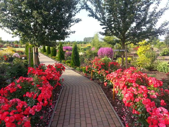 Botanischer Garten Christiansberg, © Botanischer Garten Christiansberg