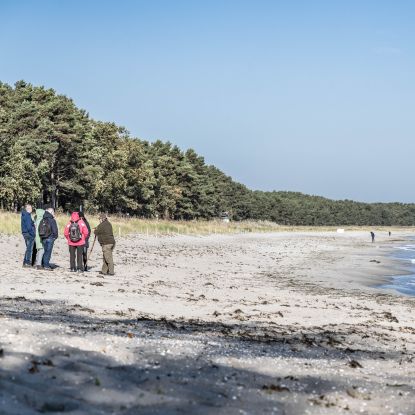 Rangerwanderung-THI, © Lars Wehrmann