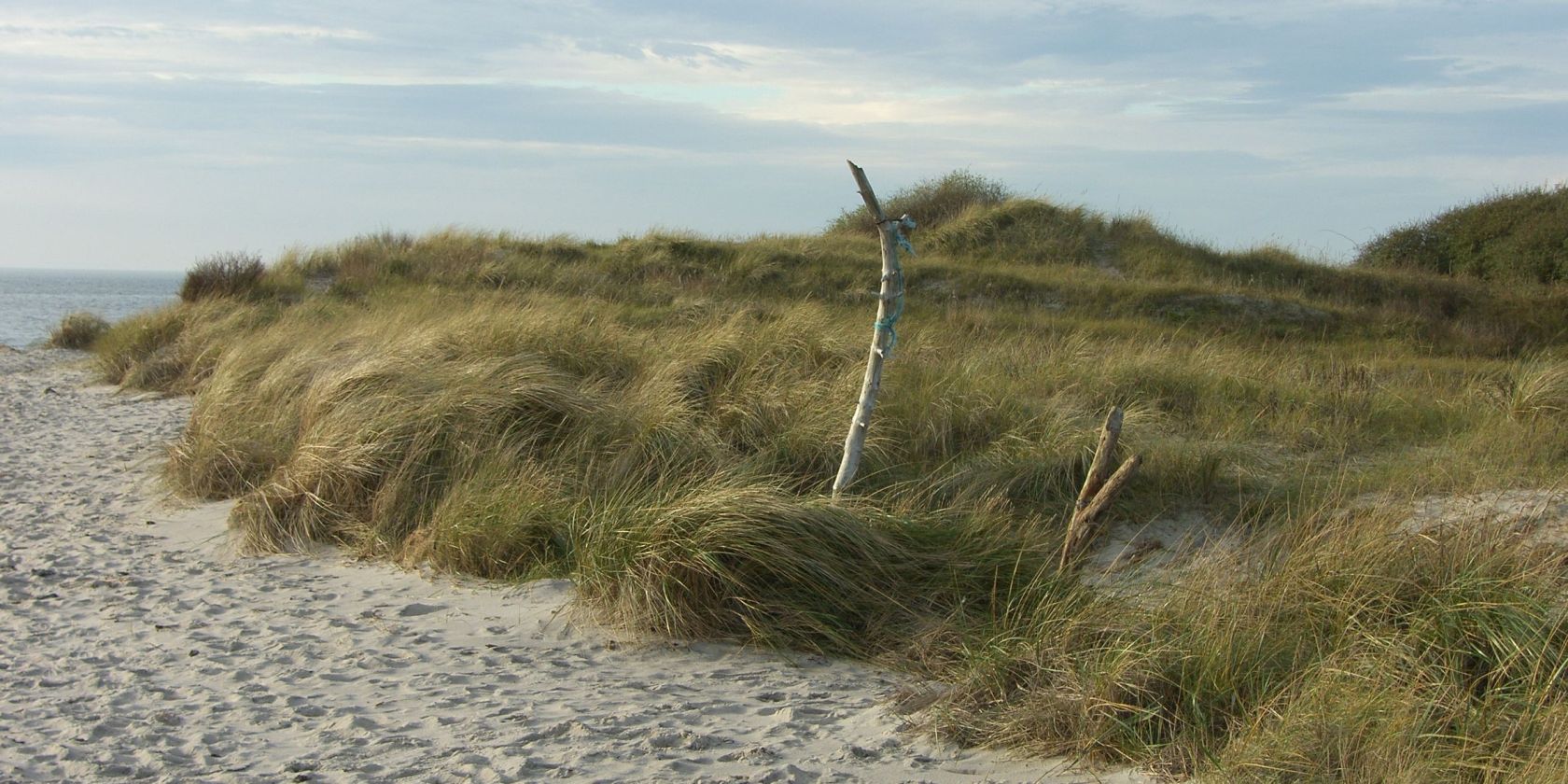 thiessow_strand-3, © Biosphärenreservatsamt Südost-Rügen