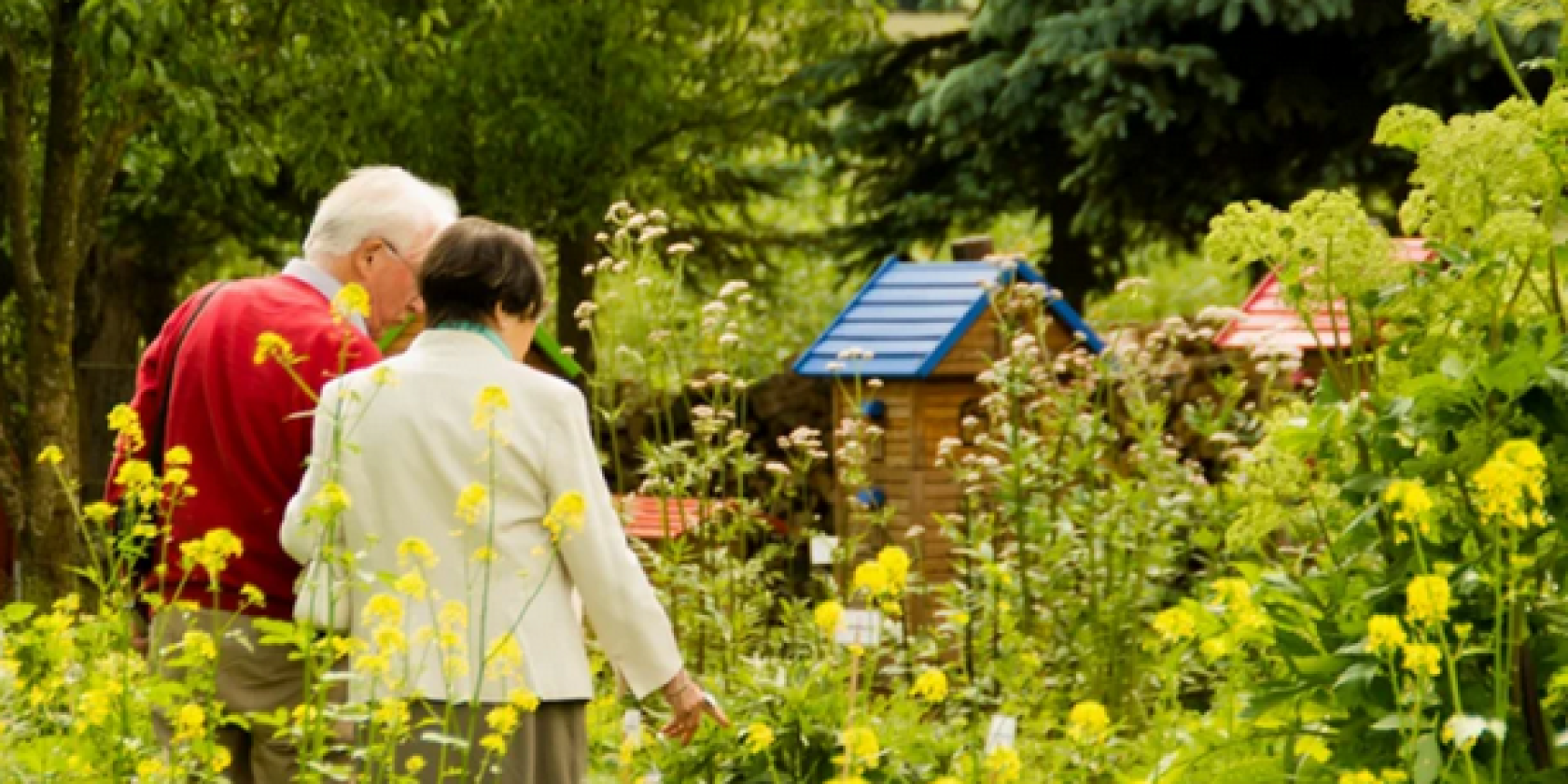 Open gardens Screenshot 2025-05-22 160557, © 2015-25 Aktion "Offene Gärten in MV"