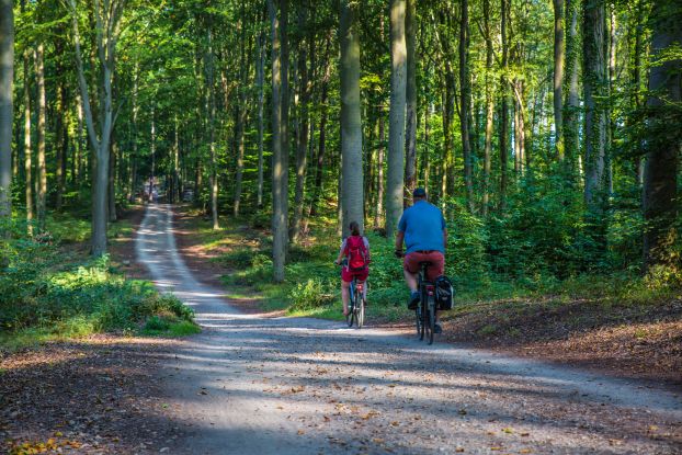 Geführte Radwanderung –  Radtour durch das Usedomer Achterland nach Stolpe am Stettiner Haff, © insel-fotograf.eu, Andreas Dumke
