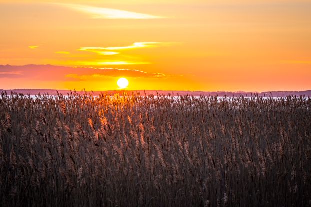 Radwanderung ins Achterland, © insel-fotograf.eu, Andreas Dumke