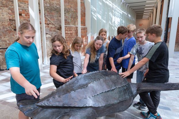 Ein Bronzemodell der Lederschildkröte „Marlene“ können Gäste im modernisierten MEERESMUSEUM auch anfassen (Foto: Anke Neumeister/Deutsches Meeresmuseum)