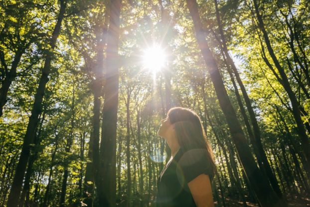 Waldbaden: Shinrin Yoku, © Binzer Bucht Tourismus | Christian Thiele