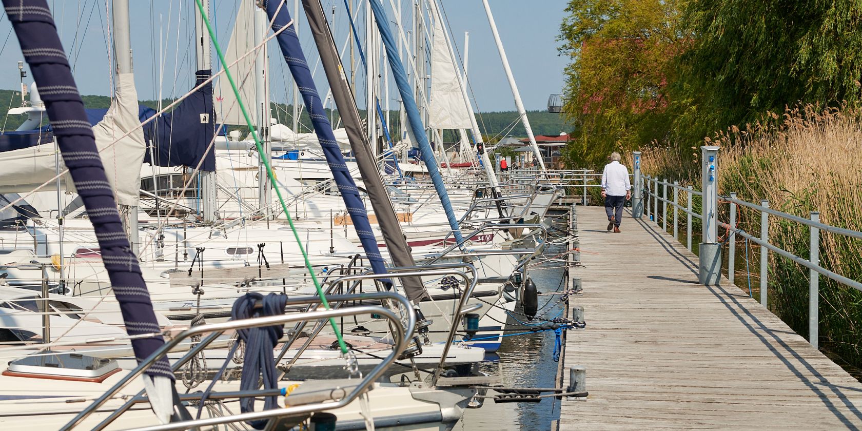 20230610-Seedorf-16-Foto-ChBurwitz, © ChB
