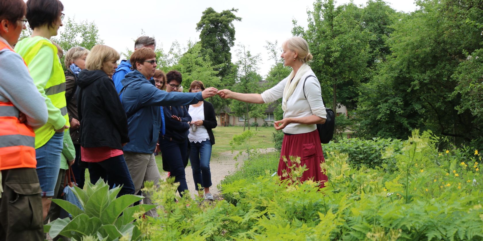 Ein Kr&auml;utererlebnis der besonderen Art - Kr&auml;uterwanderung mit Anne-Katrin Schmiedehaus-Engel, &copy; Fred-Ingo Pahl