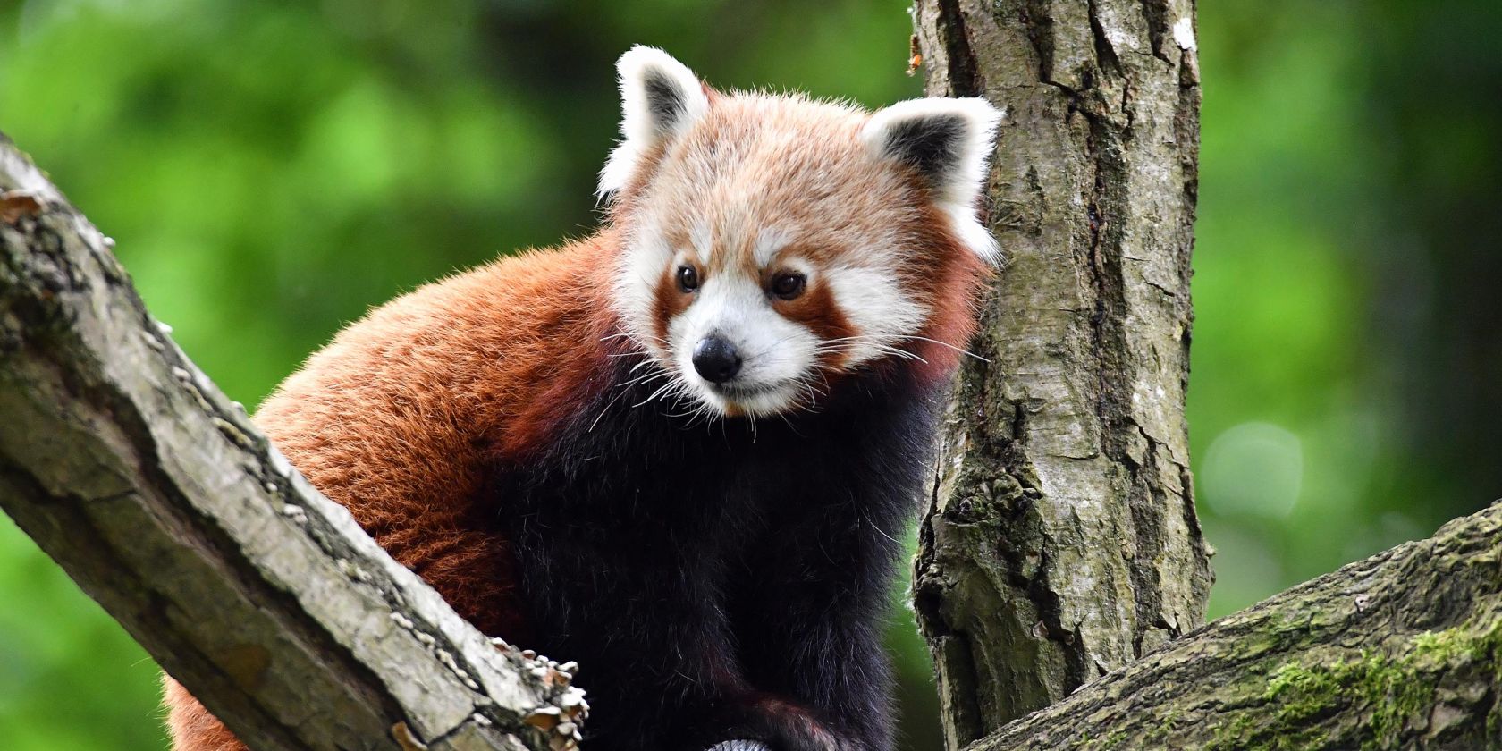 Tierischer Bastelspaß, © Zoo Rostock/Kloock