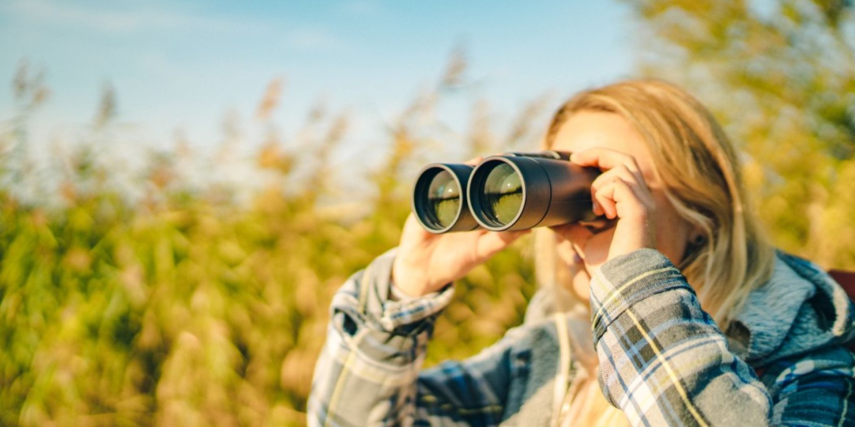 Birdwatching Neuendorf 1, © Südliche Boddenküste