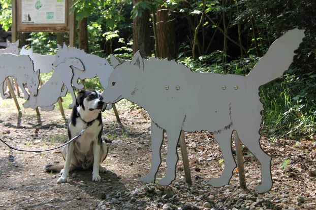 Wildpark-MV with dog, © Wildpark-MV