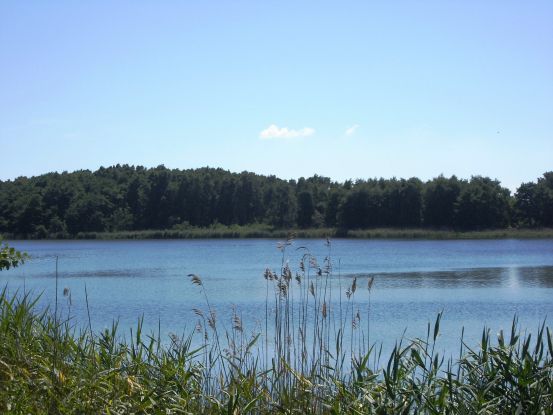 Geführte Radwanderung - "Rund um den Schmollensee - Sieben-Seen-Blick-Tour", © 201547.jpg