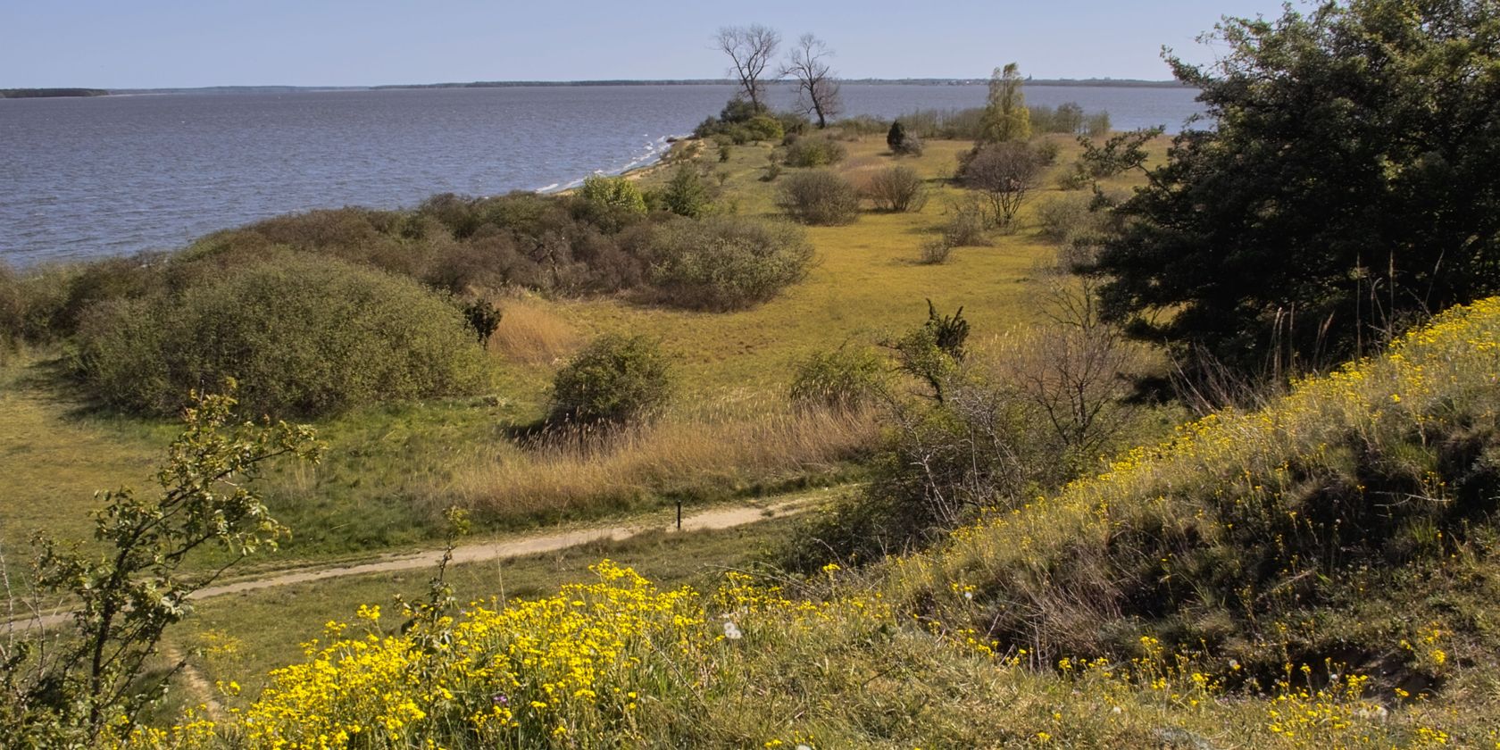 Naturschutzgebiet Gnitz, &copy; Fotoarchiv Naturpark Insel Usedom
