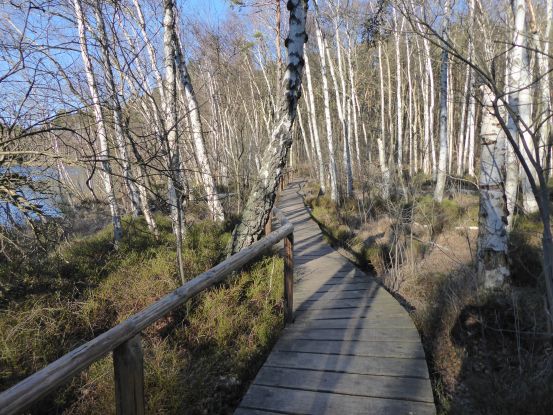 Moorsteg an den Wienpietschseen, © Wiebke Döbbert