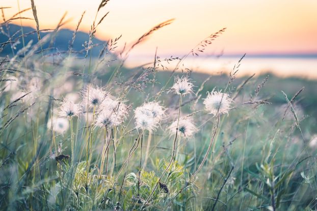 Kuhschellenwanderung