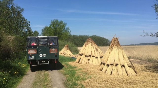 Hanomag-Safari Nord-Muttland, © Volker Barthmann