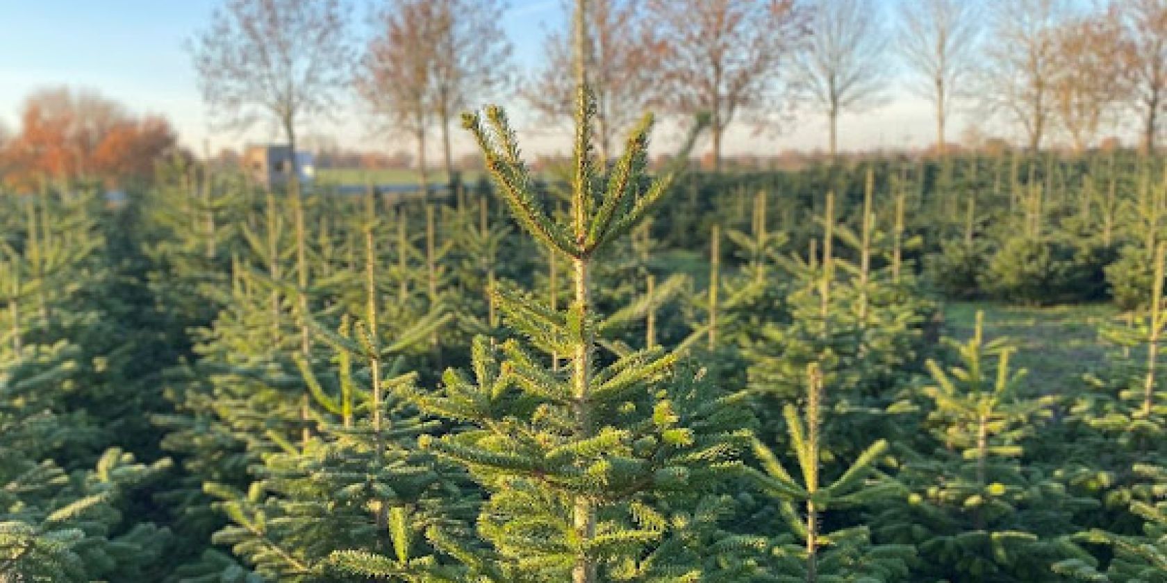 2025-11-06, &copy; Nadine Mal&szlig;