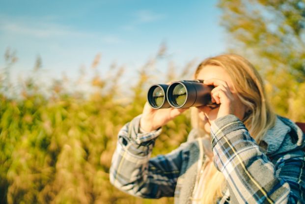 Birdwatching Neuendorf 1, © Südliche Boddenküste