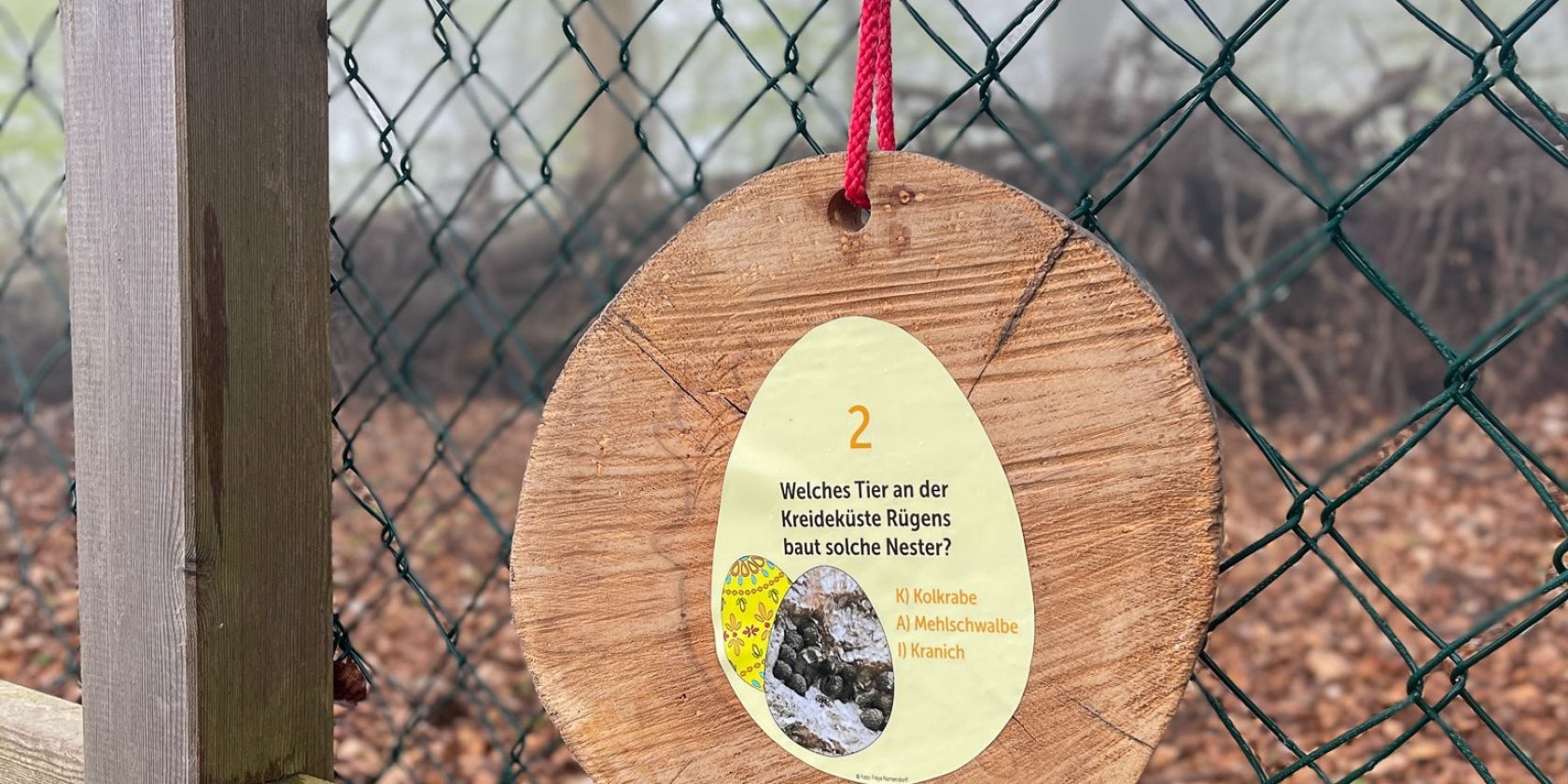 Fr&uuml;hlings-Rallye, &copy; Nationalpark-Zentrum K&Ouml;NIGSSTUHL