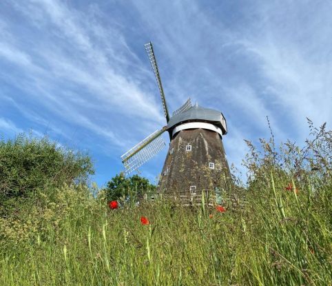 Weltkindertag an der M&uuml;hle, &copy; Sibylle B&ouml;hler