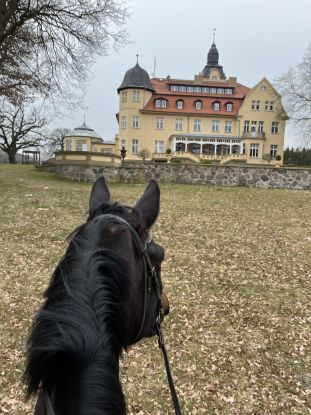 Bernsteinreitertag in Wendorf, &copy; de