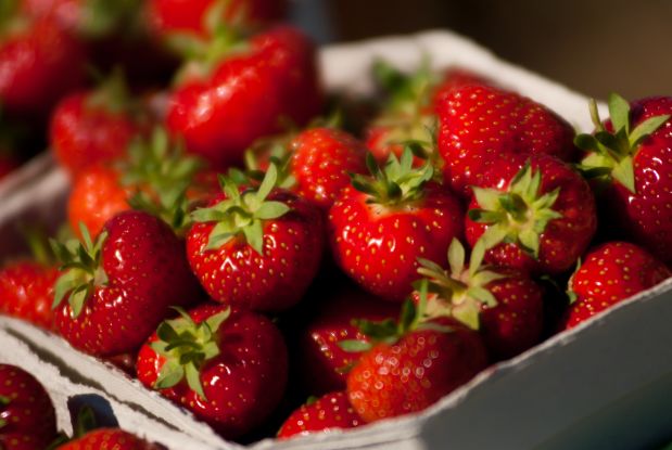 Leckere frische Erdbeeren, © Karls