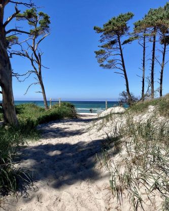 IMG_2227, &copy; Islandpferdehof Fischland