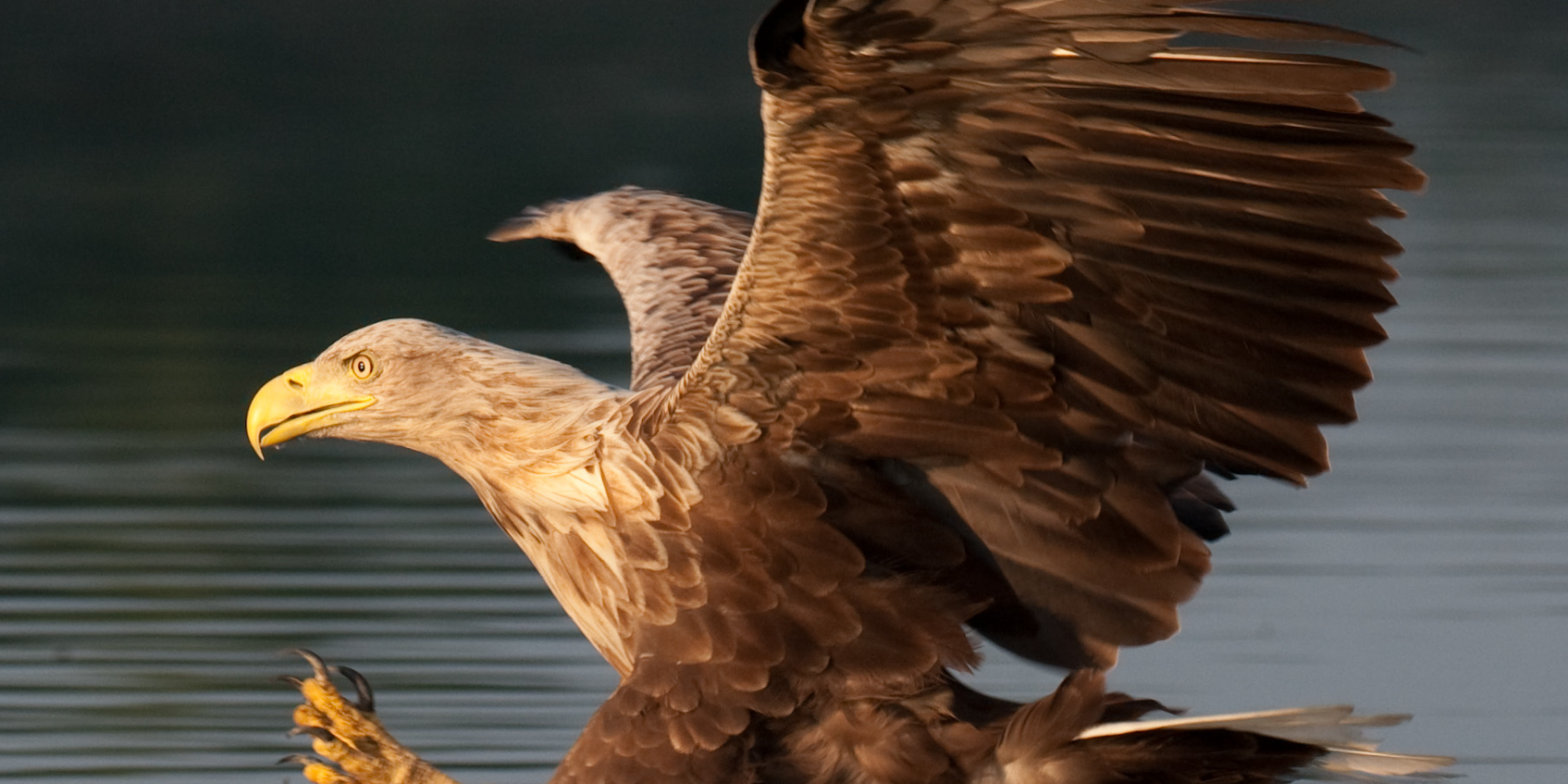 Multivisionsshow, &copy; Kurverwaltung M&ouml;nchgut