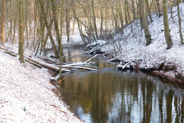 Mildenitz_Durchbruchstal, © Naturpark Nossentiner/Schwinzer Heide