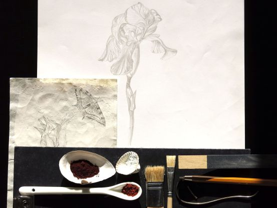 Art workshop: Drawing with silver - art in nature, © Jana Plewa
