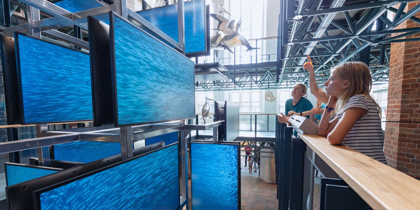 meeresmuseum-sardine-run-bildschirme-copyright-anke-neumeister-deutsches-meeresmuseum