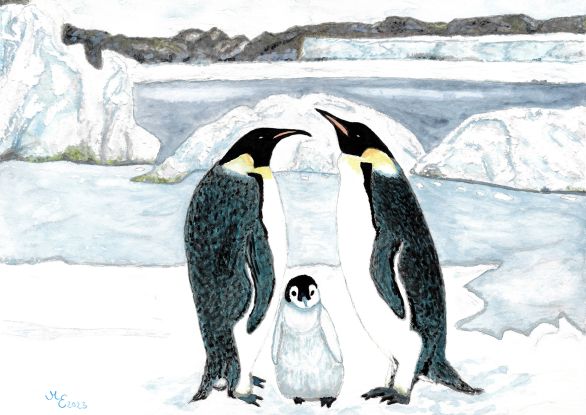 Pinguine_M, &copy; M. Enninghorst