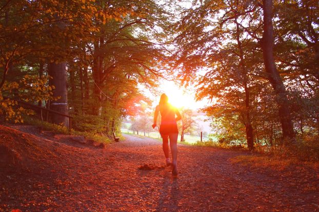 Symbolfoto | 28. Graal-Müritzer Schneckenlauf, © Foto von Nathalie Désirée Mottet auf Unsplash