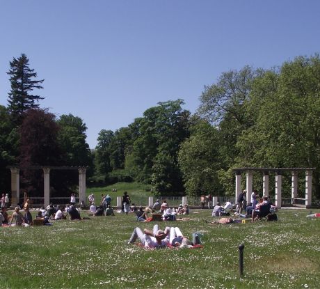 Musikalisches Picknick, © Dr. Bittner