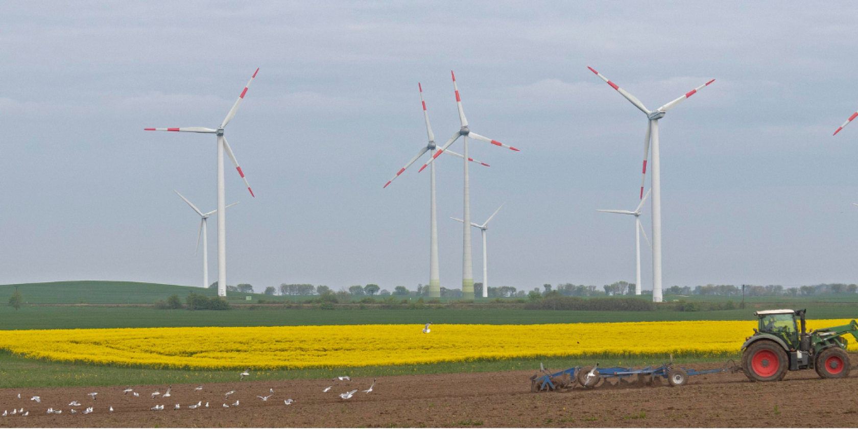 FES MV, &copy; FES MV