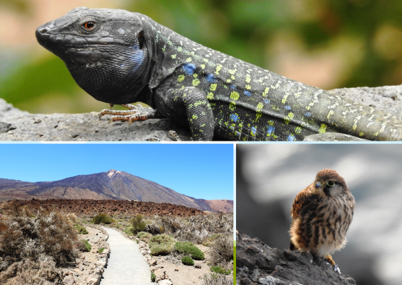 JB_Bilder f&uuml;r Website VA Kalender (2), &copy; Regionalbiblbiothek Neubrandenburg