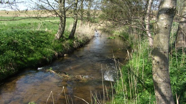 26-04-18 Wanderung zum Malchiner See, GMZ, &copy; c