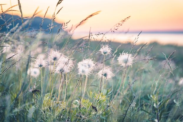 Augenspaziergang an der Ostsee, &copy; Kurverwaltung Ostseebad Baabe