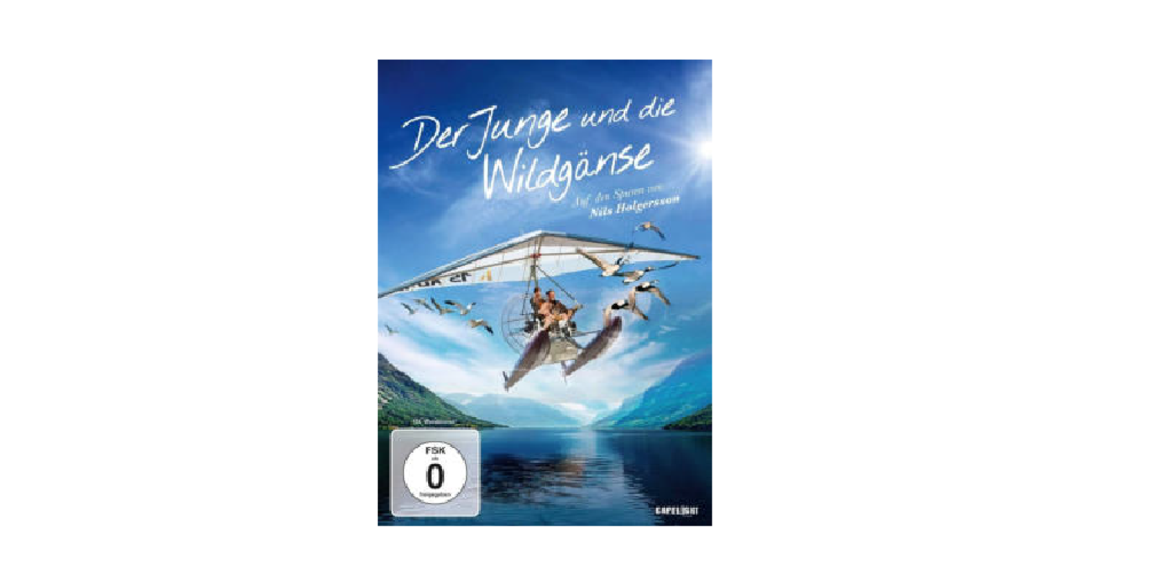 Der Junge und die Wildg&auml;nse, &copy; Peter Schmitt