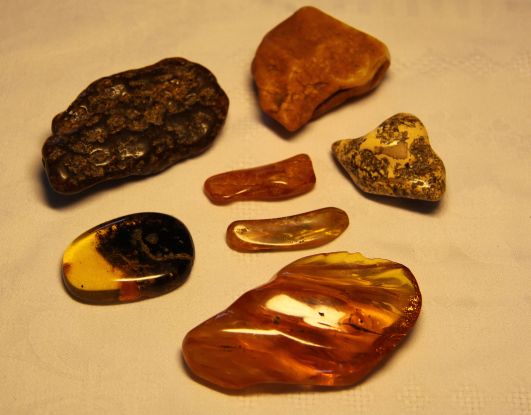 Vortrag Bernstein - das Gold der Ostsee, © Historische Gesellschaft zu Zinnowitz, Ute Spohler, 17454 Zinnowitz, Sc