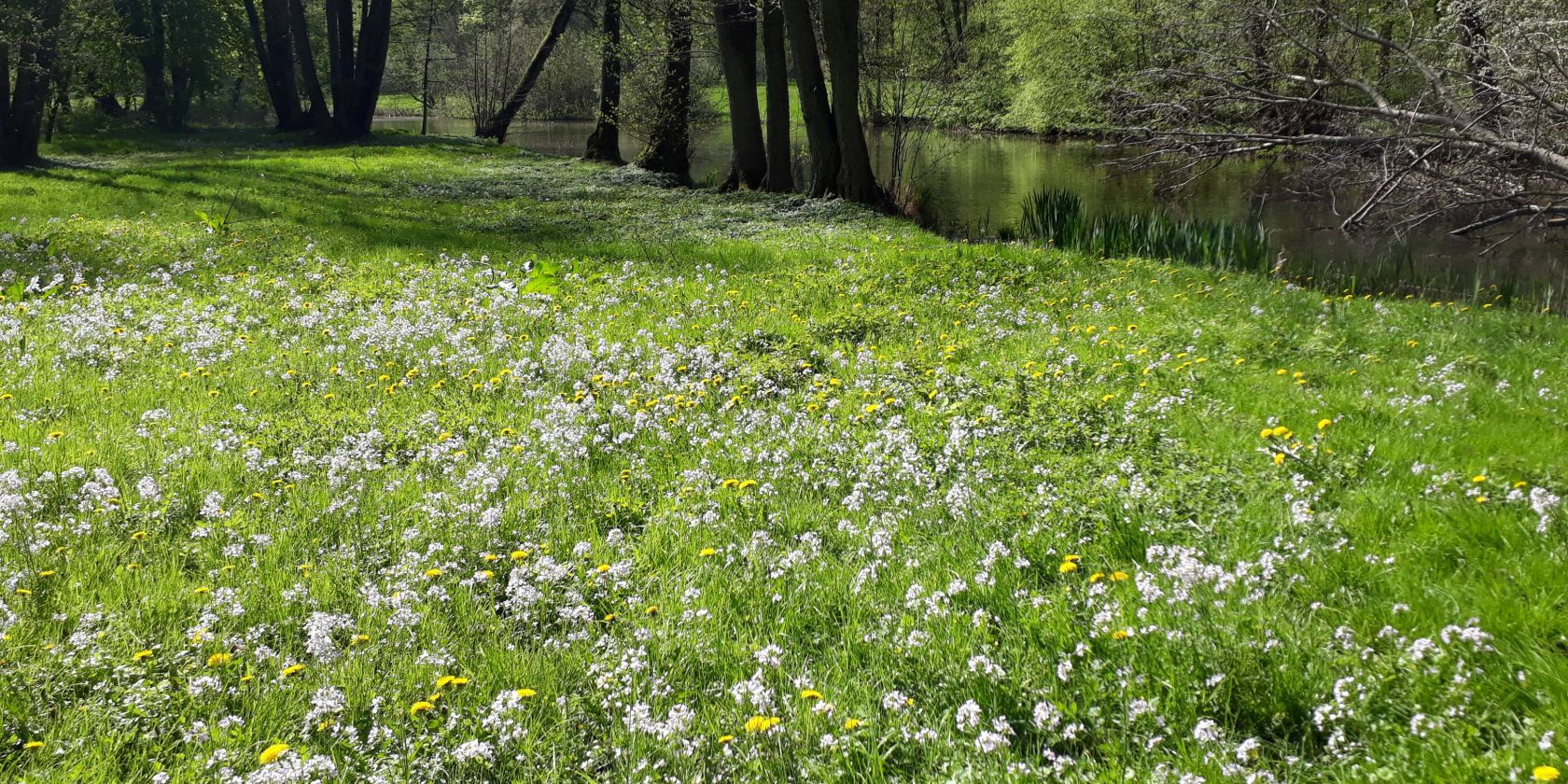 Semlow small, &copy; Petra Rackow