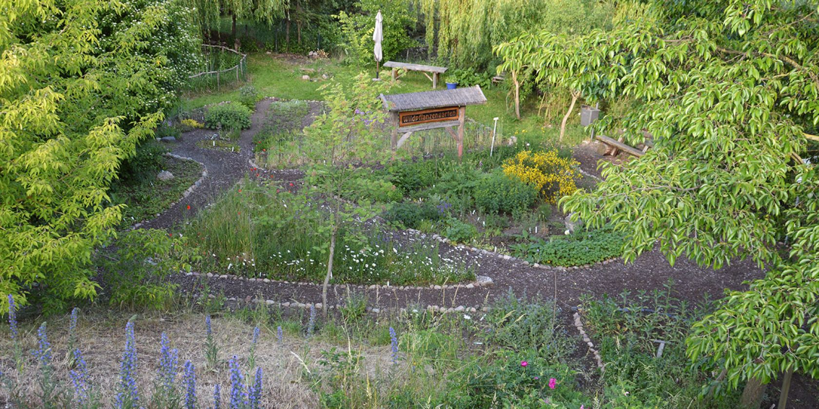 Wildpflanzengarten Waren, &copy; Wildpflanzengarten Waren (M&uuml;ritz)