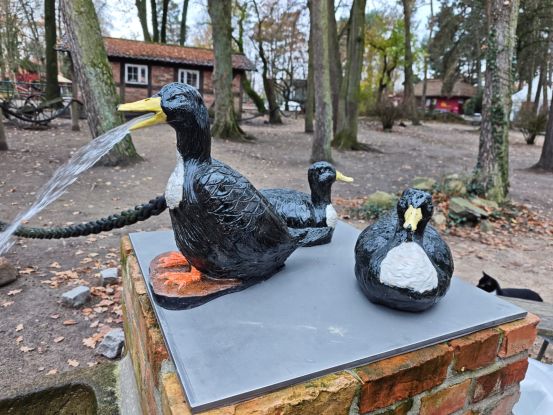 „Was gibt es Neues im Zoo Herr Direktor?“ – Abendführung durch den Zoo Stralsund