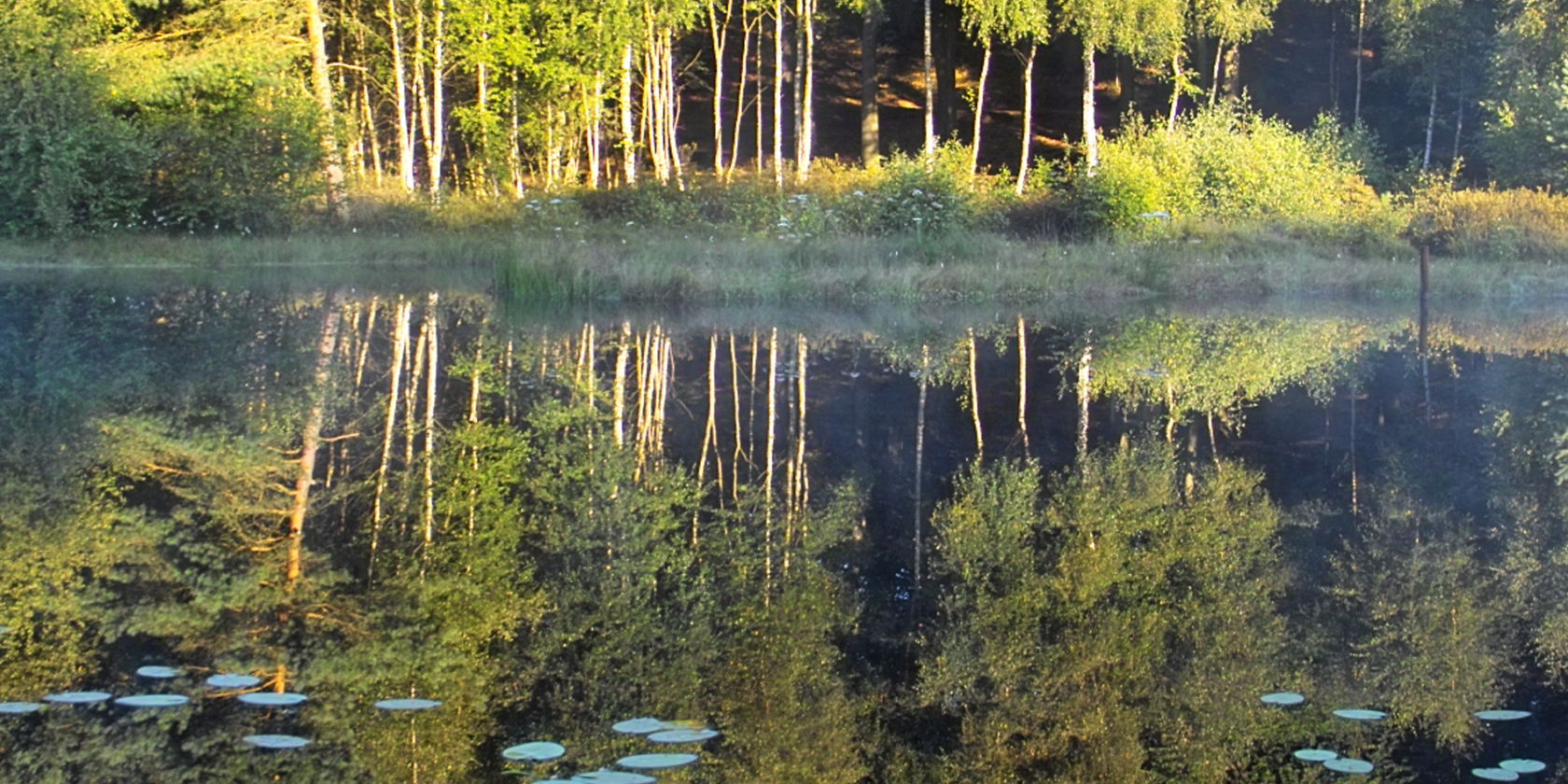 M&uuml;mmelkensee, &copy; Fotoarchiv Naturpark Insel Usedom