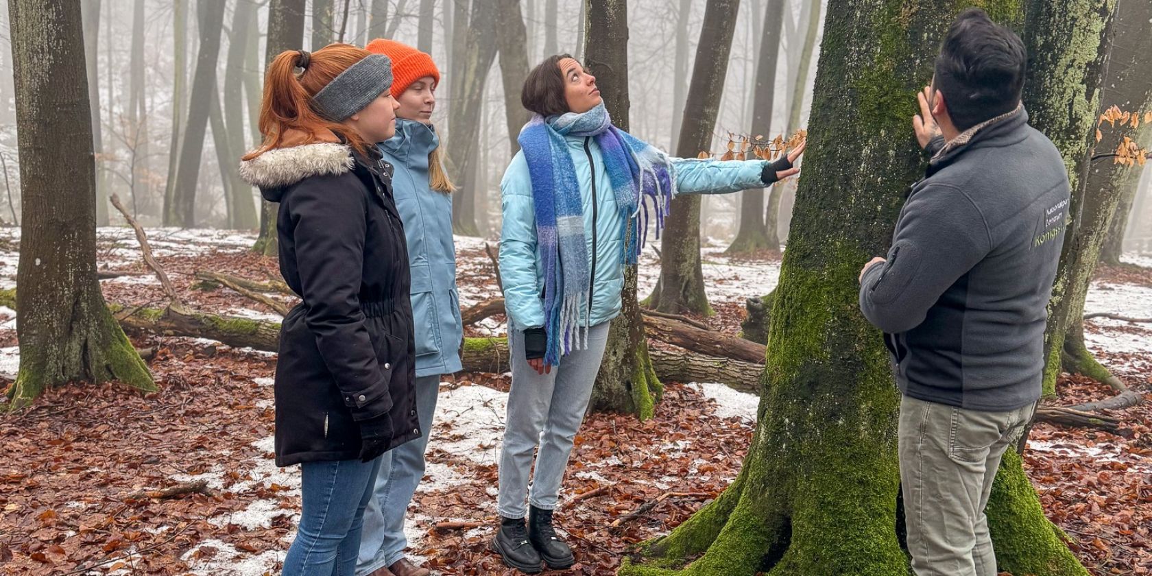 Waldbaden, &copy; Nationalpark-Zentrum K&Ouml;NIGSSTUHL