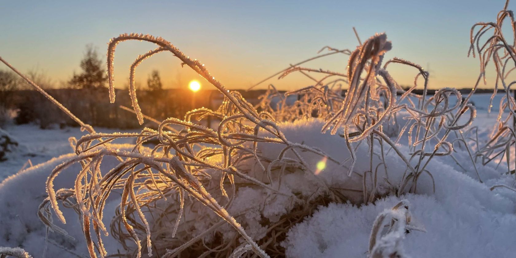 24-02-17 Winterwanderung, GMZ, &copy; Marin-Ziegler