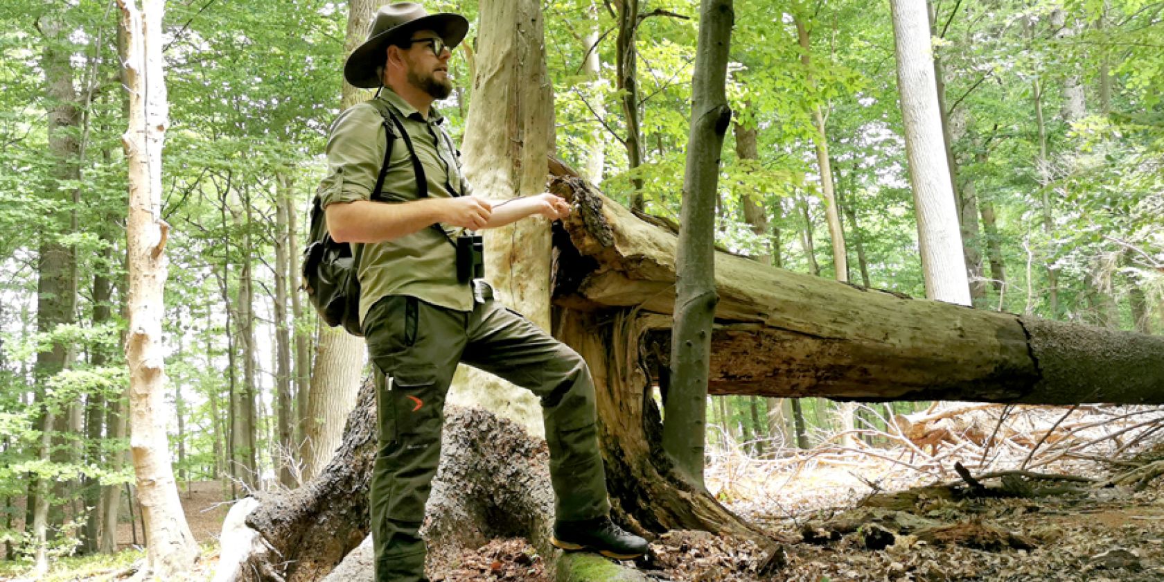 2025-06-19_Rangerfuehrung_Granitz_Binz_S.Kr&uuml;ger_ABe_14_klein, &copy; Biosph&auml;renreservat S&uuml;dost-R&uuml;gen