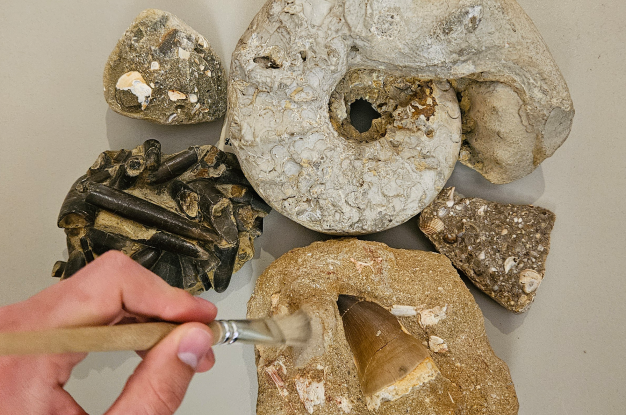 Geologist-in-Work_FAT-Mueritzeum_VD, © K.Franz/Müritzeum