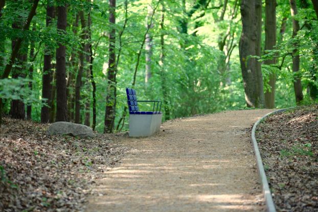 Therapy hike